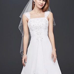 Starting a line David bridals train dress